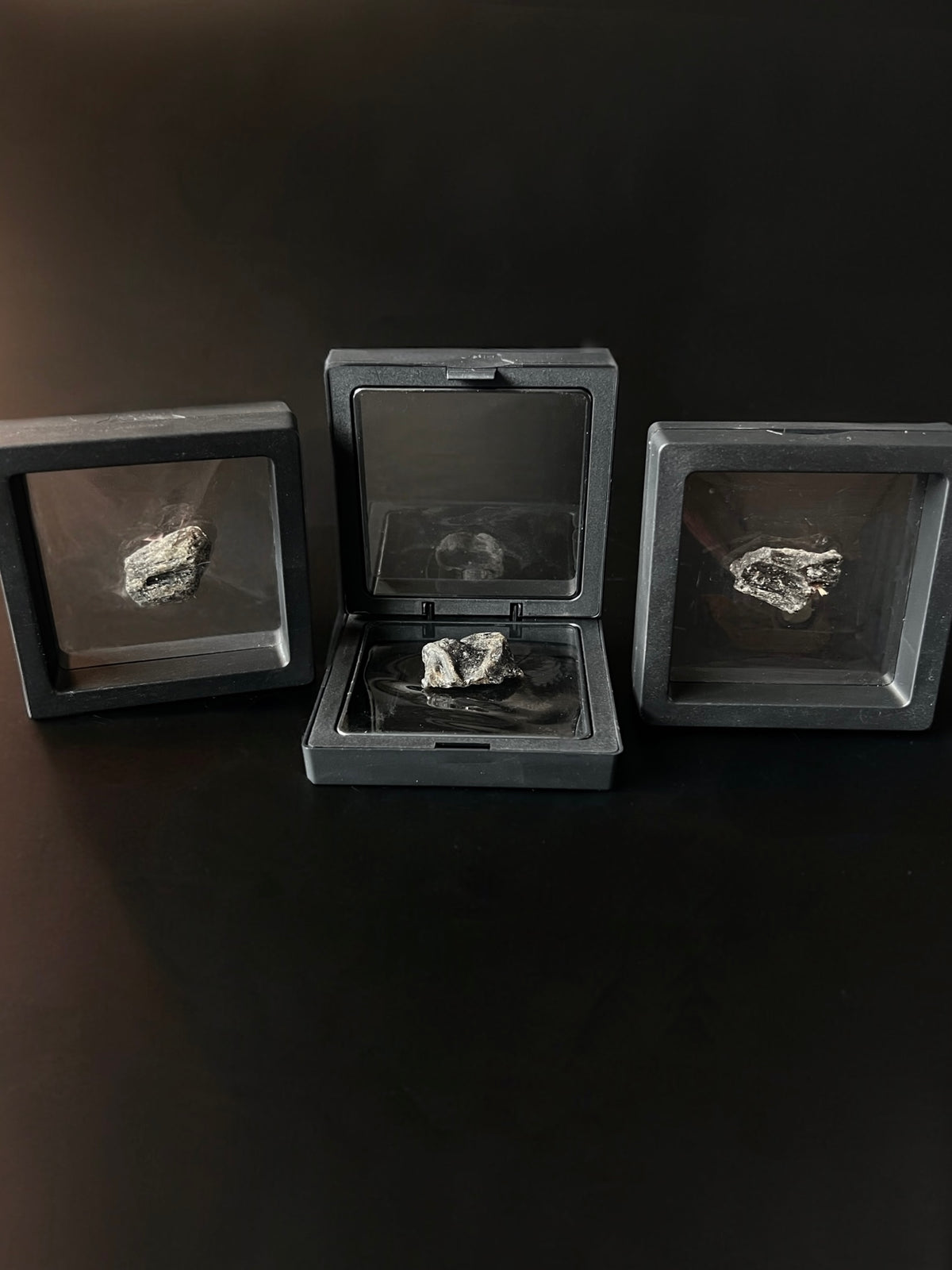 Darwin Glass Specimens