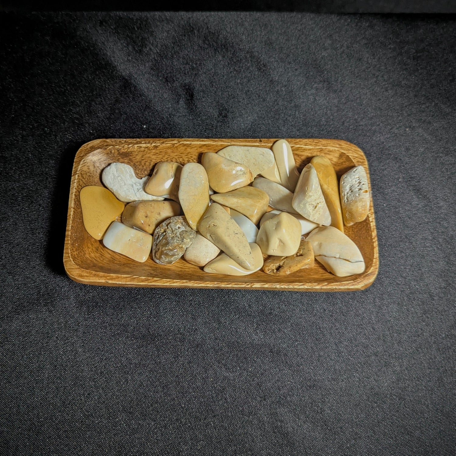 Fossilized Coral