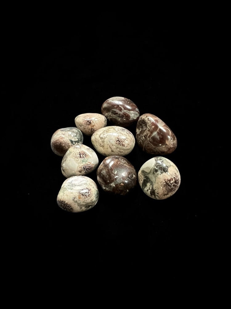Green Flower Jasper