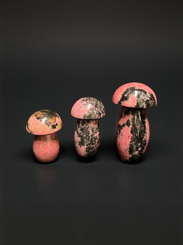 MUSHROOMS