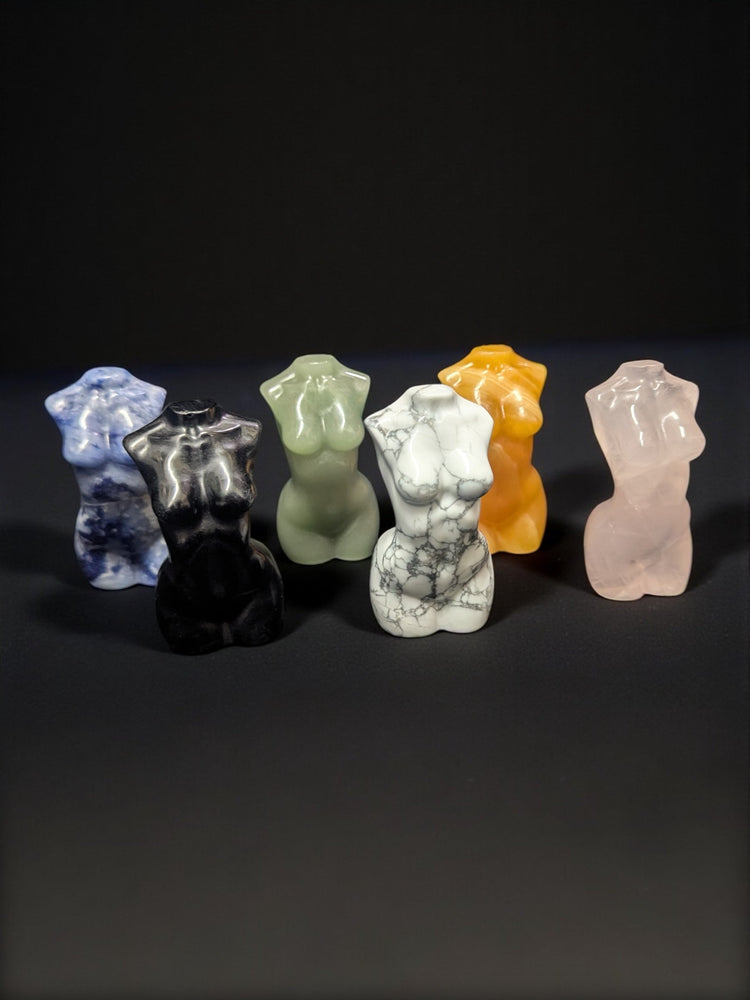 WOMEN'S TORSO
