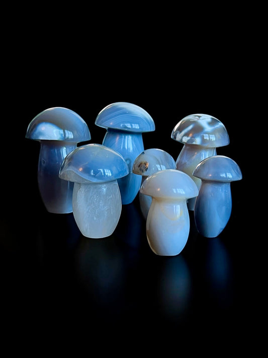 Agate Mushrooms