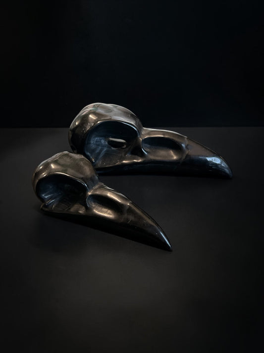 Black Obsidian Crow/Raven Skull
