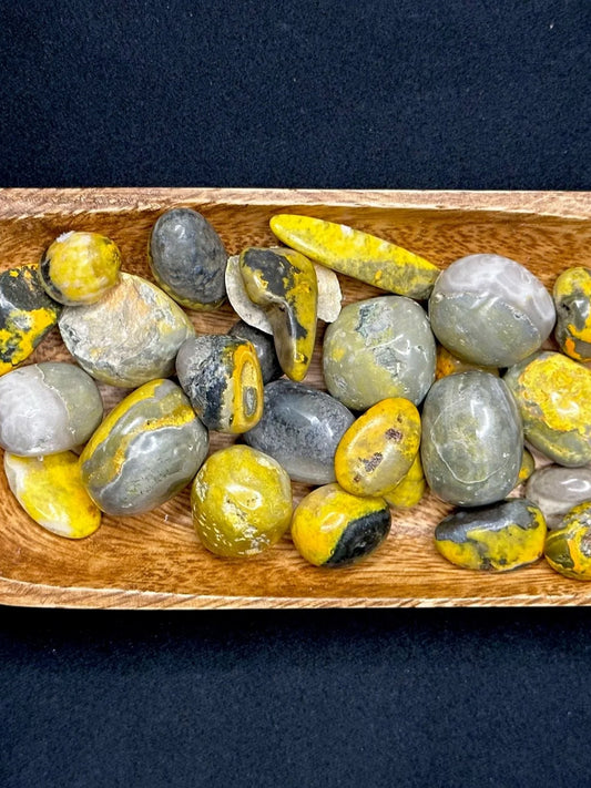 Bumblebee Jasper Tumbles