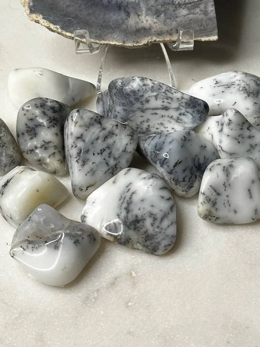 Dendritic Agate Tumbles