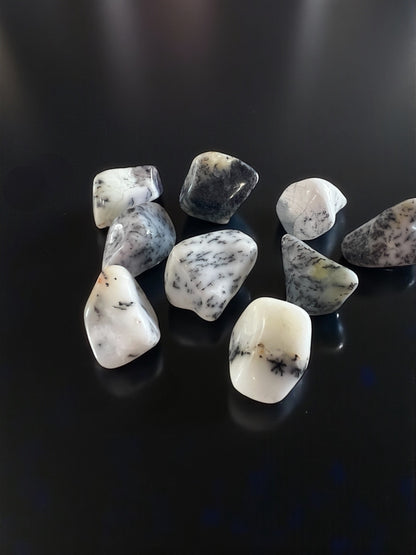 Dendritic Agate Tumbles