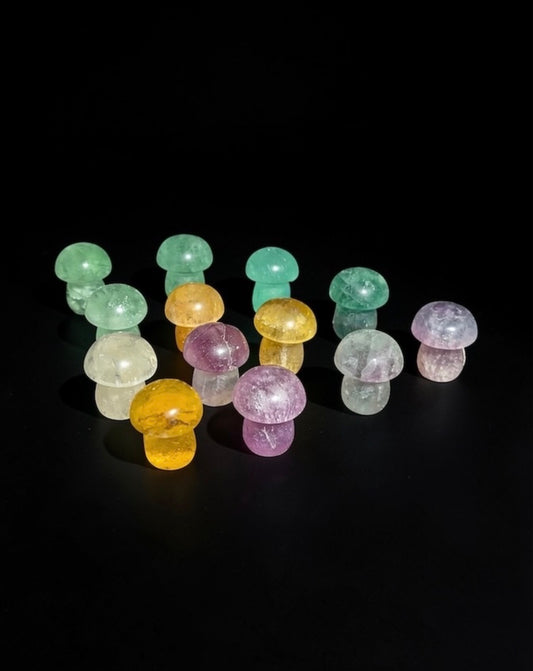 Fluorite Mushroom Singles