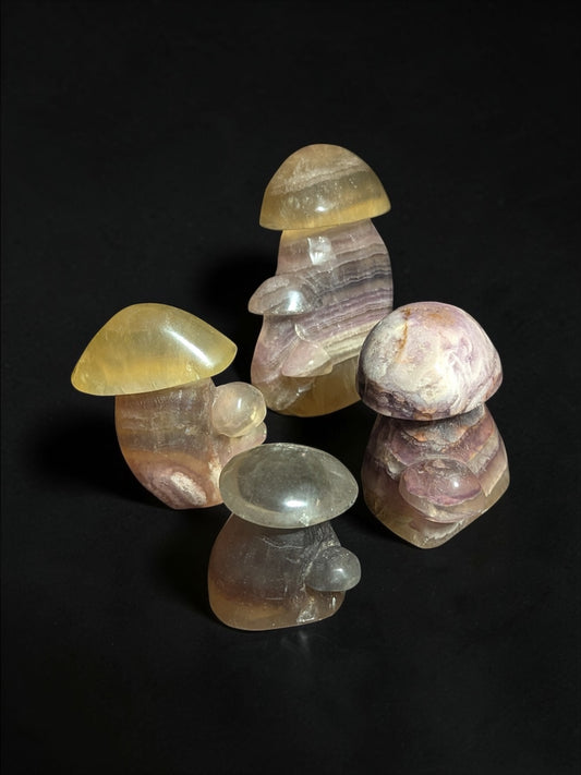 Fluorite Mushroom Clusters