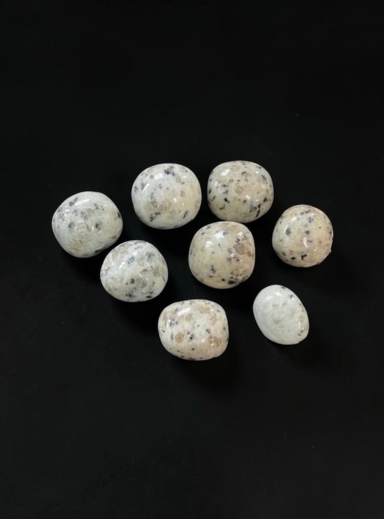 Kiwi Jasper Tumbles
