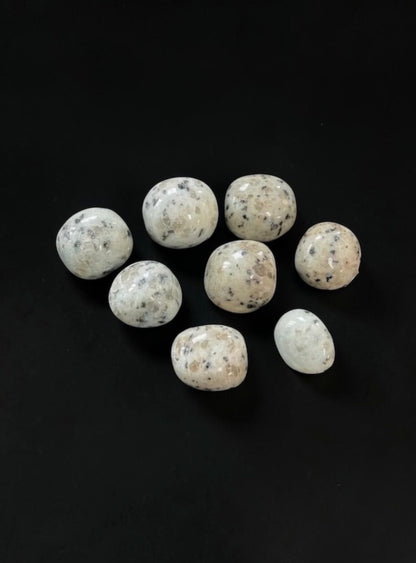 Kiwi Jasper Tumbles