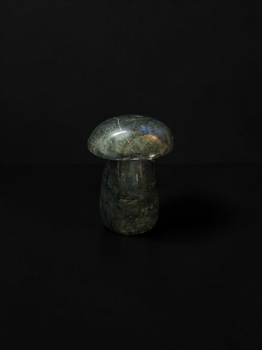 Labradorite Mushrooms