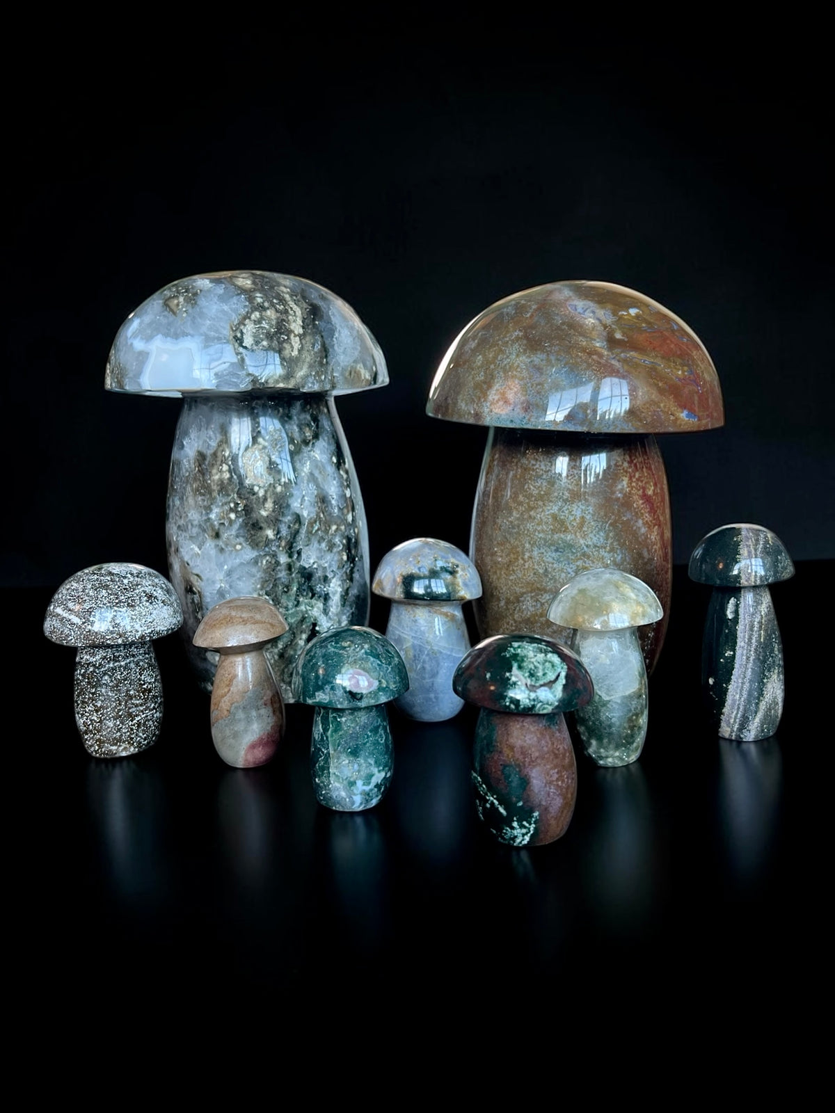Ocean Jasper Mushrooms