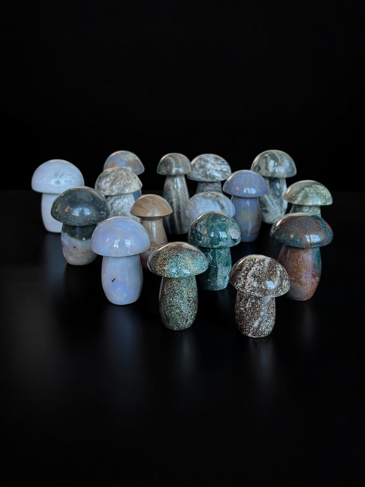 Ocean Jasper Mushrooms