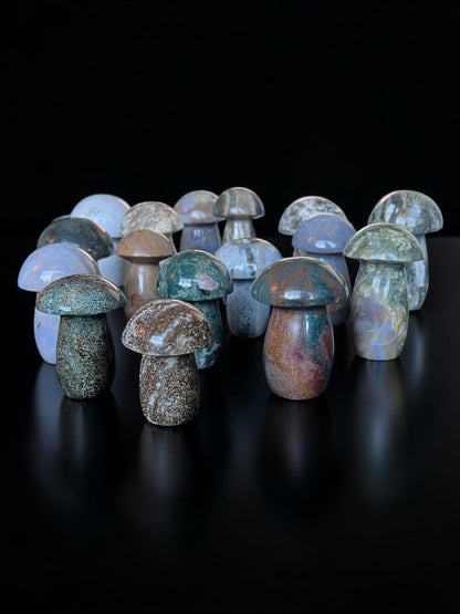 Ocean Jasper Mushrooms