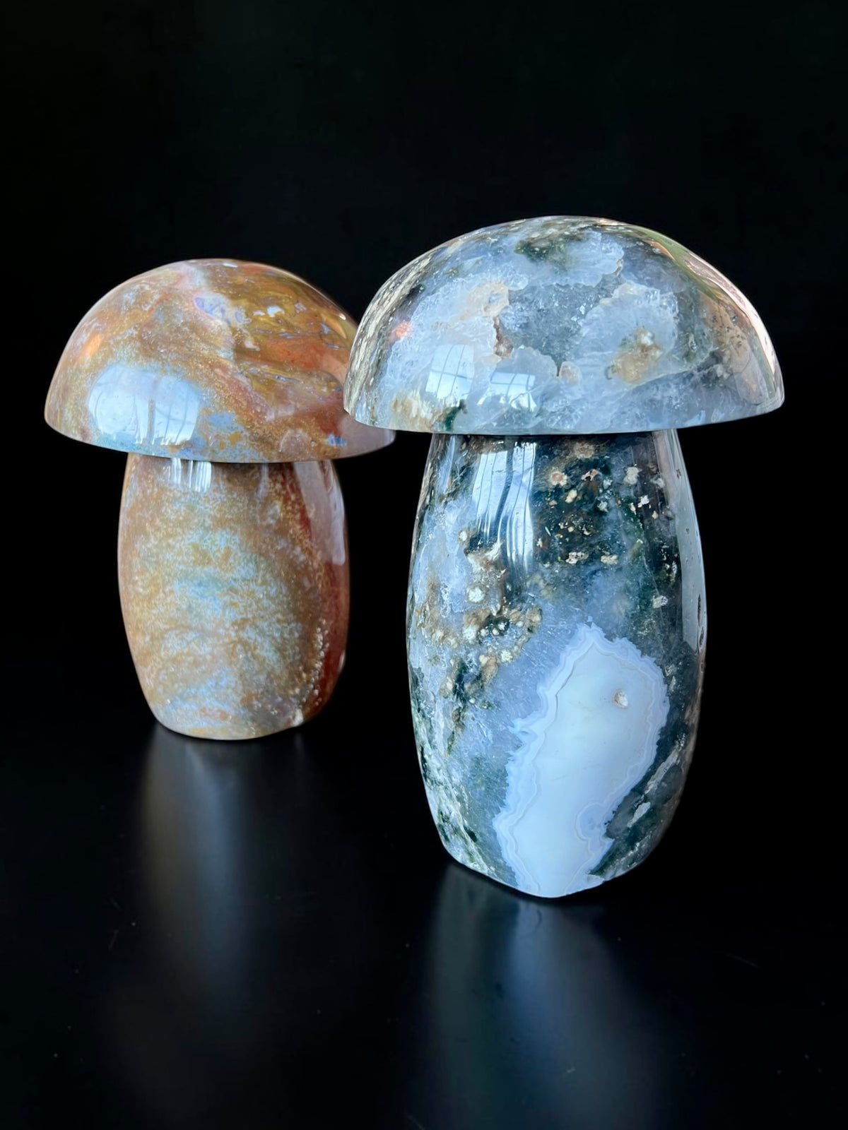 Ocean Jasper Mushrooms
