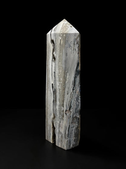 Ocean Jasper Towers