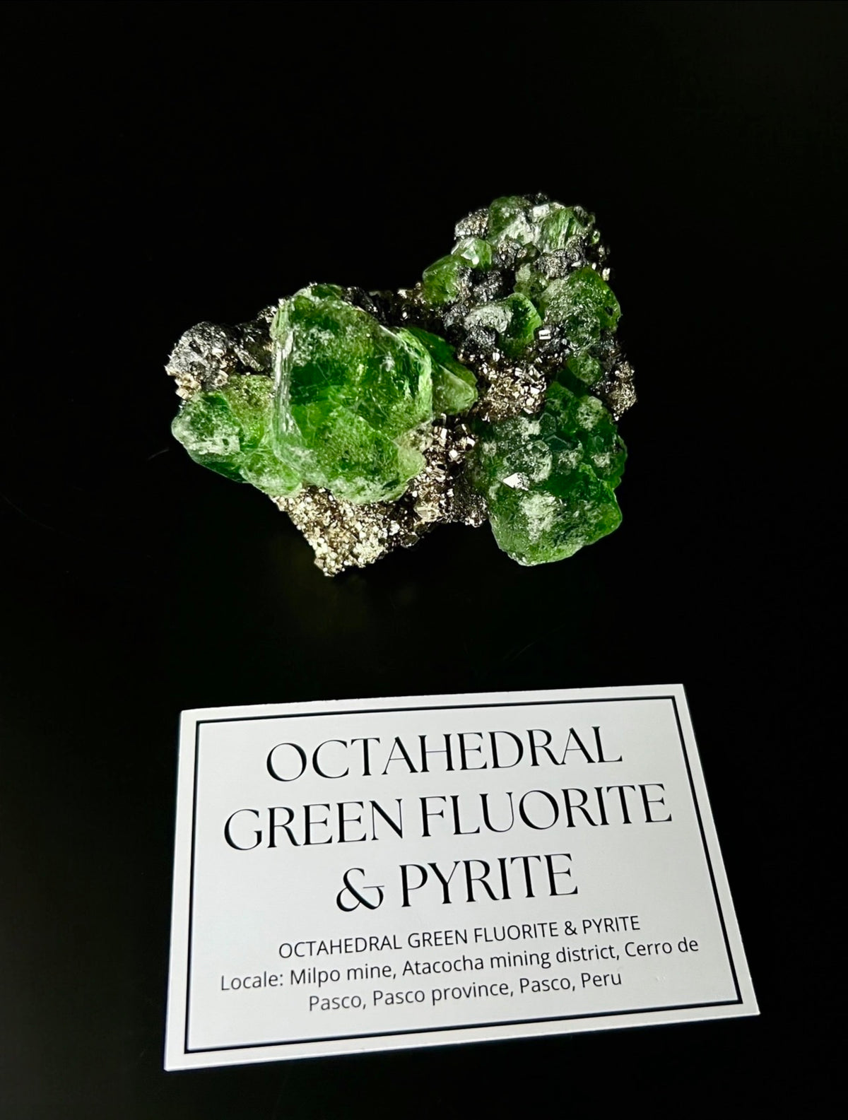 Octahedral Green Fluorite & Pyrite