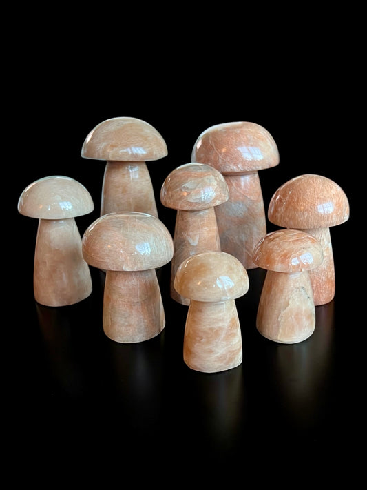 Peach Moonstone Mushrooms