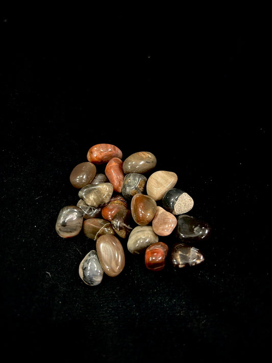 Petrified Wood Chips (1.5oz bag)