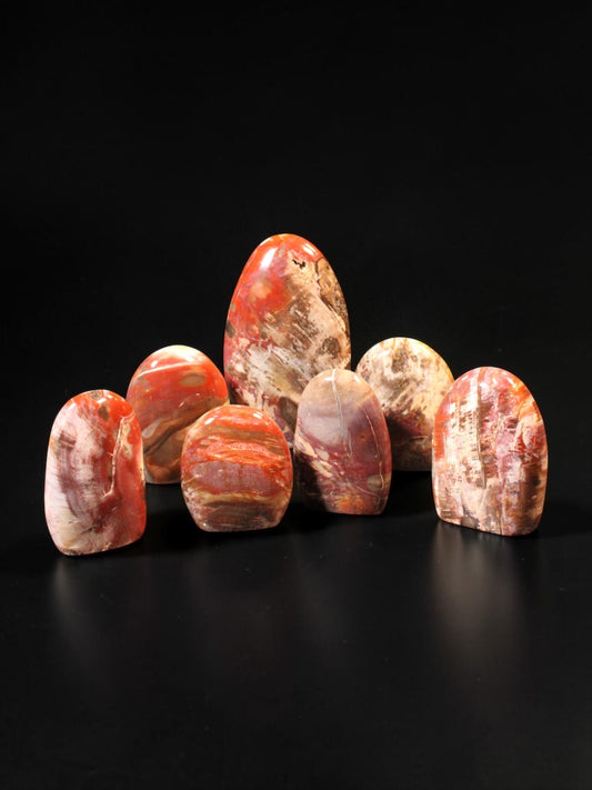 Petrified Wood Freeforms