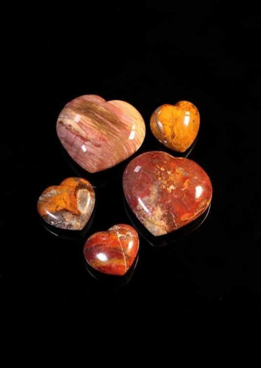 Petrified Wood Hearts