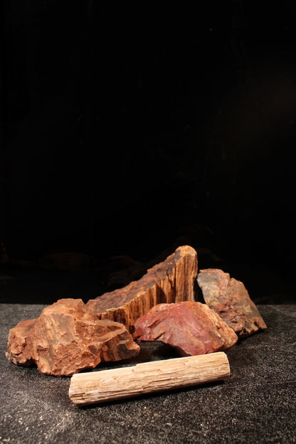 Petrified Wood Raw