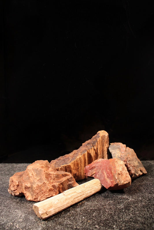 Petrified Wood Raw