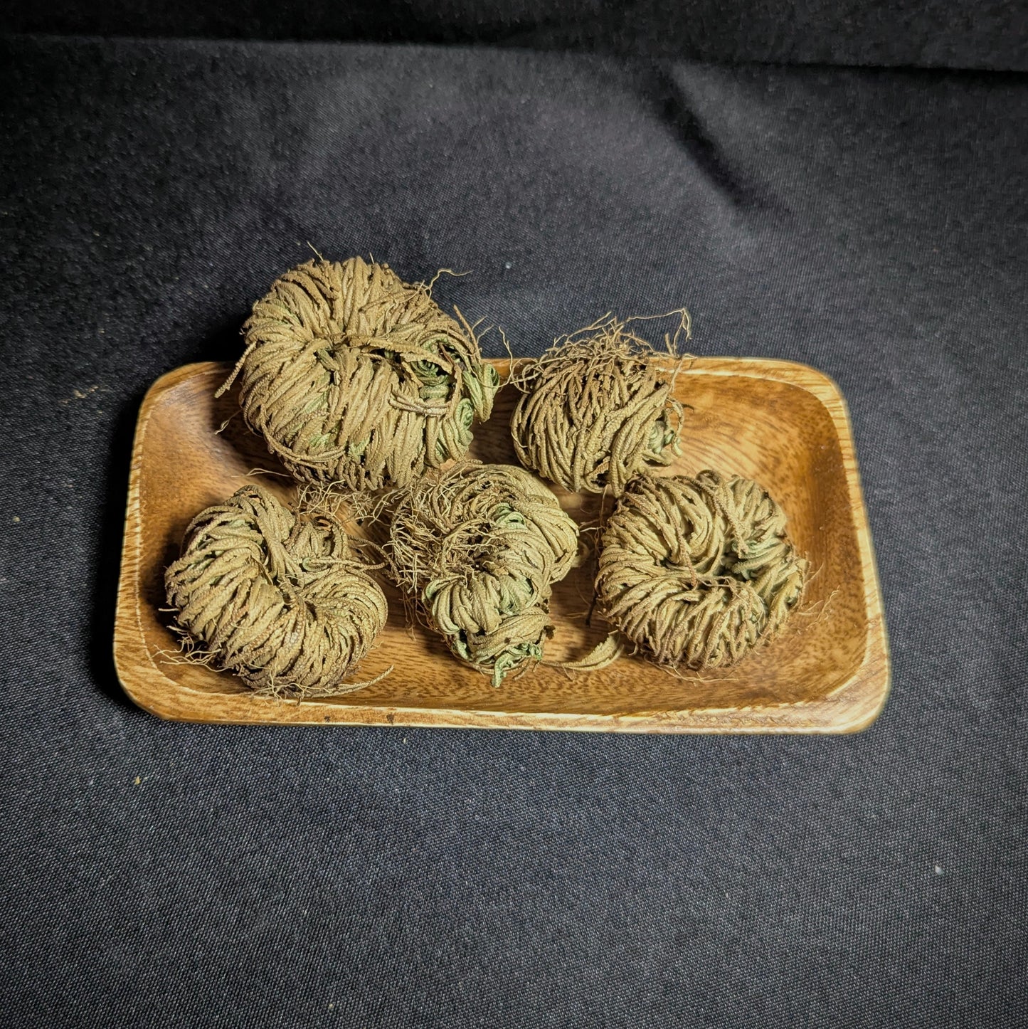 Rose of Jericho